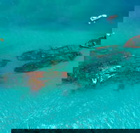 Private Tangalooma Wrecks Tour - Sunshine Coast Guide