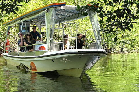 5-Day Best Of Cairns With Daintree, Kuranda, And Great Barrier Reef - Sunshine Coast Guide 1