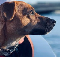 1.5-Hour Boat Rental in Melbourne - Sunshine Coast Guide