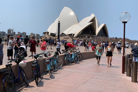 The Big Easy - Sunshine Coast Guide 4