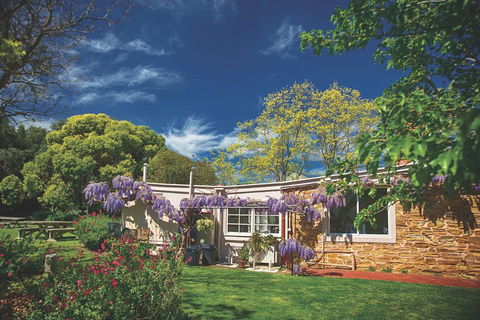 McLaren Vale Winery Small Group Tour With Wine Tasting And Lunch - Sunshine Coast Guide 2