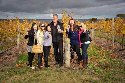 McLaren Vale Winery Small Group Tour With Wine Tasting And Lunch - Sunshine Coast Guide 3