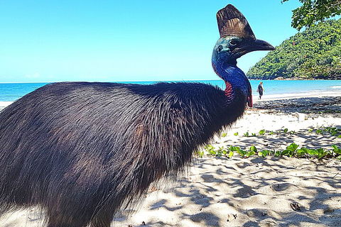 The Paronella Experience - Sunshine Coast Guide 0