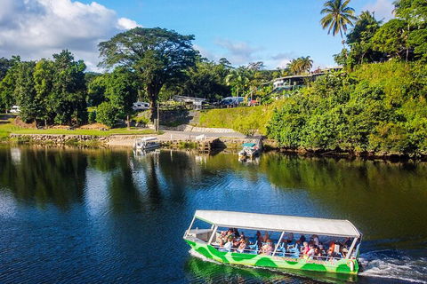 Full Day Tour In The Daintree - Sunshine Coast Guide 2