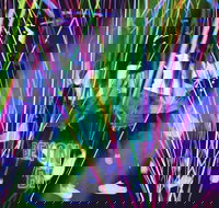 Infinity Attraction - Admission - Sunshine Coast Guide