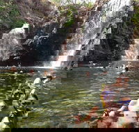 Litchfield National Park and Jumping Crocodile Cruise - Sunshine Coast Guide