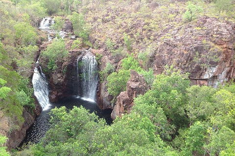 Litchfield National Park And Jumping Crocodile Cruise - Sunshine Coast Guide 4
