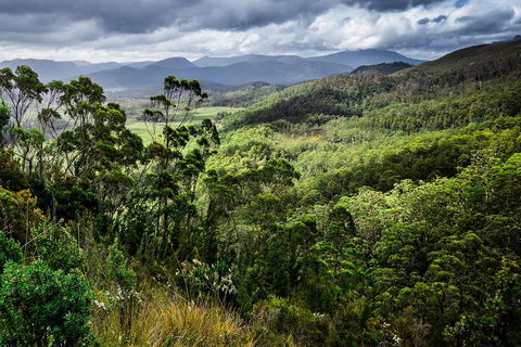 3-Day Tour To The Falls, Mountains, Lake & More Of West Coast Tasmania - Sunshine Coast Guide 0