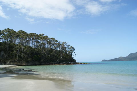 Bruny Island Day Trip From Hobart - Sunshine Coast Guide 1