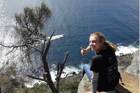 Bruny Island Day Trip From Hobart - Sunshine Coast Guide 2