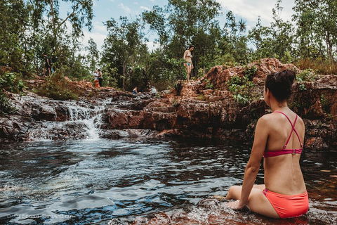 Litchfield National Park Day Tour From Darwin With Waterfalls And Buley Rockhole - Sunshine Coast Guide 0