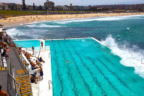 Private Sydney Half Day Tour Including Sydney Opera House And Bondi Beach - Sunshine Coast Guide 1