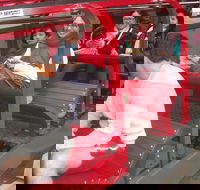 Full-Day Private Blue Mountains Tour with River Cruise - Sunshine Coast Guide