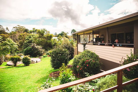 Full-day Springbrook National Park Tour From The Gold Coast - Sunshine Coast Guide 2