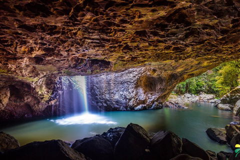 Full-day Springbrook National Park Tour From The Gold Coast - Sunshine Coast Guide 3