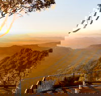 O'Reilly's  Lamington National Park incl. Alpaca Farm  Vineyard - Sunshine Coast Guide