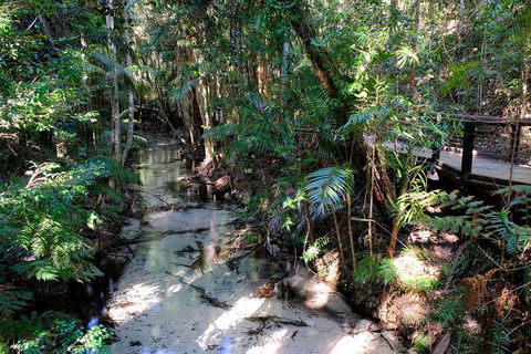 Fraser Island 4WD Tour From Rainbow Beach - Sunshine Coast Guide 0
