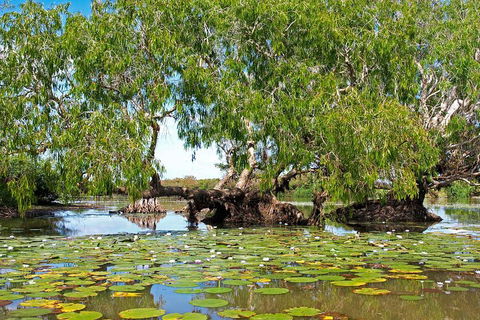 Ethical Adventures - Best In The WET - Litchfield / Kakadu 3 Day- Max 10 Guests - Sunshine Coast Guide 1