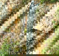 Private Tour - Rainforest  Waterfalls Extravaganza - Sunshine Coast Guide