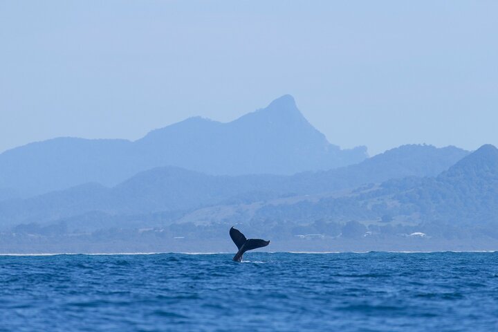 Sunshine Coast Guide