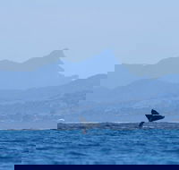 The Byron Bay Sea Kayak Tour