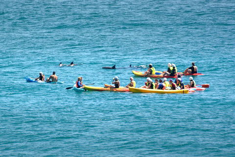 The Byron Bay Sea Kayak Tour - Sunshine Coast Guide 1