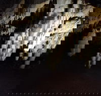 The Pinnacle Adventure Tour - Sunshine Coast Guide