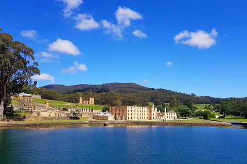 Tasmania 4 Day East Coast + Launceston - Sunshine Coast Guide 0