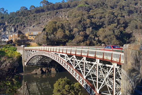 Tasmania 4 Day East Coast + Launceston - Sunshine Coast Guide 5