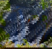 Byron Bay Hinterland Tour Including Rainforest Walk to Minyon Falls