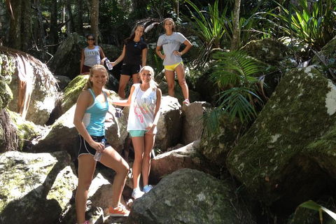 Byron Bay Combo: Hinterland Tour Including Minyon Falls And Kayaking With Dolphins - Sunshine Coast Guide 4