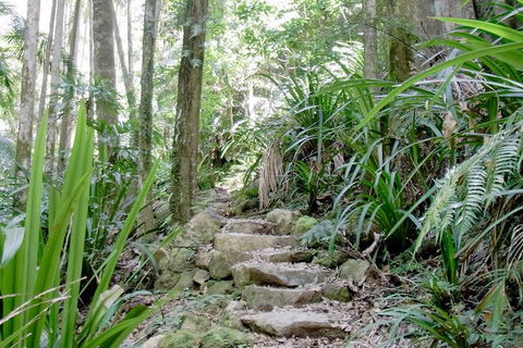 Byron Bay Combo: Hinterland Tour Including Minyon Falls And Kayaking With Dolphins - Sunshine Coast Guide 5