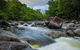 Cape Tribulation Day Tour - thumb 0