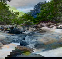 Cape Tribulation Day Tour - Sunshine Coast Guide