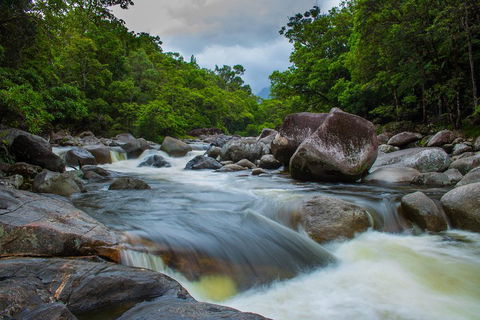 Cape Tribulation Day Tour - Sunshine Coast Guide 0
