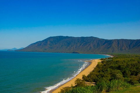 Cape Tribulation Day Tour - Sunshine Coast Guide 1
