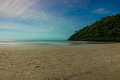 Cape Tribulation Day Tour - Sunshine Coast Guide 2