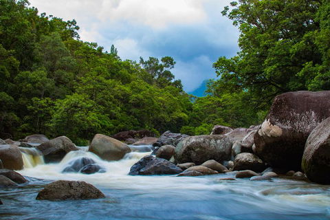Cape Tribulation Day Tour - Sunshine Coast Guide 4