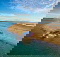 Town of 1770 Afternoon Cruise - Sunshine Coast Guide