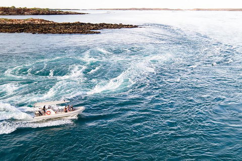 Giant Tides Tour - Cygnet Bay Pearl Farm - Sunshine Coast Guide 4