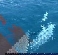 Noosa Thriller - 500hp Ocean Adventure Ride - Sunshine Coast Guide