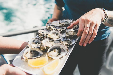 Deep-to-Dish: Tasmanian Seafood Experience - Sunshine Coast Guide 1