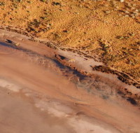 Scenic Flight Lizard Safari - Sunshine Coast Guide