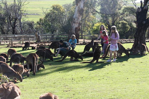 The Port Arthur MEGA Day Trip From Hobart - Sunshine Coast Guide 5