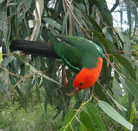 3-Day Private Adelaide to Melbourne tour - Sunshine Coast Guide
