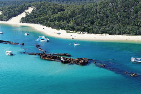 All Inclusive Dolphin And Tangalooma Wrecks Cruise - Sunshine Coast Guide 4