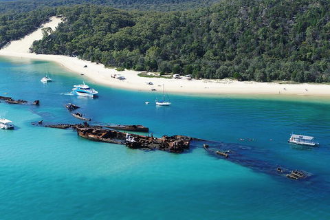 All Inclusive Tangalooma Wrecks Cruise Tour From Gold Coast - Sunshine Coast Guide 0