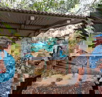 Bombing of Darwin World War II Tour with Harbour Cruise - Sunshine Coast Guide