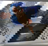 3/4 Day 7 Hour Offshore Fishing Charter - Sunshine Coast Guide