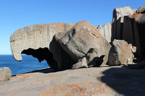 Kangaroo Island Personal Group Tours - Sunshine Coast Guide 2